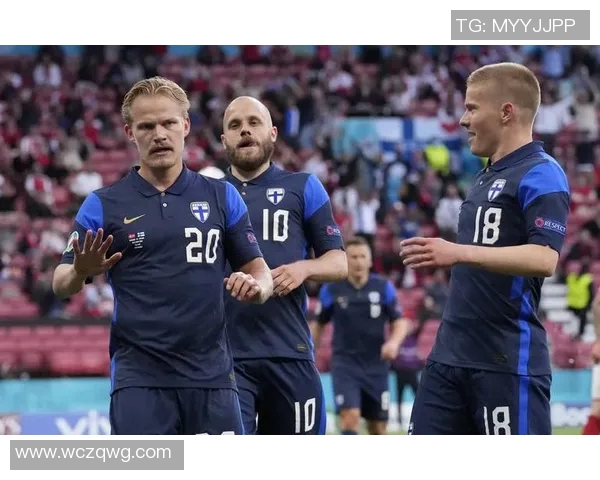 爱尔兰与丹麦上半场精彩对决分析及战术解析