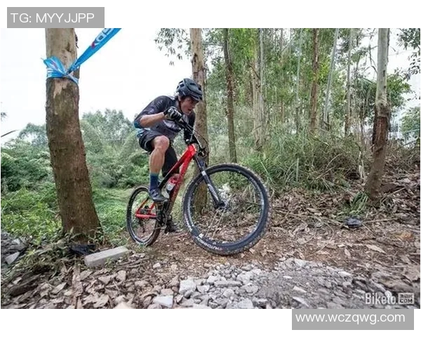 上海极限运动队战术解析：防反打法的优势与应用探讨