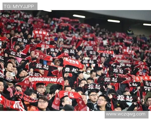 成都排球队力量之争引发热议球迷与专家各执己见